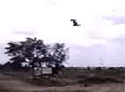 rc_jump_video.racing.hu.mpg