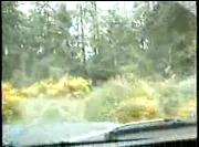 treeeee_video.racing.hu.wmv