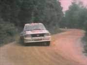 wrc_1982_video.racing.hu.wmv