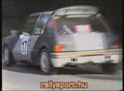 sygnus_realworks_kupa_2008_rshu_video.racing.hu.wmv